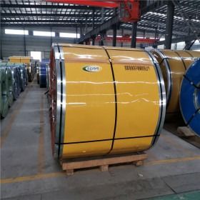 10mm 12mm 10mm Hot Rolled Steel Coil 420 430 06cr19ni10 Hot Cold Rolled Ss 304 Strips